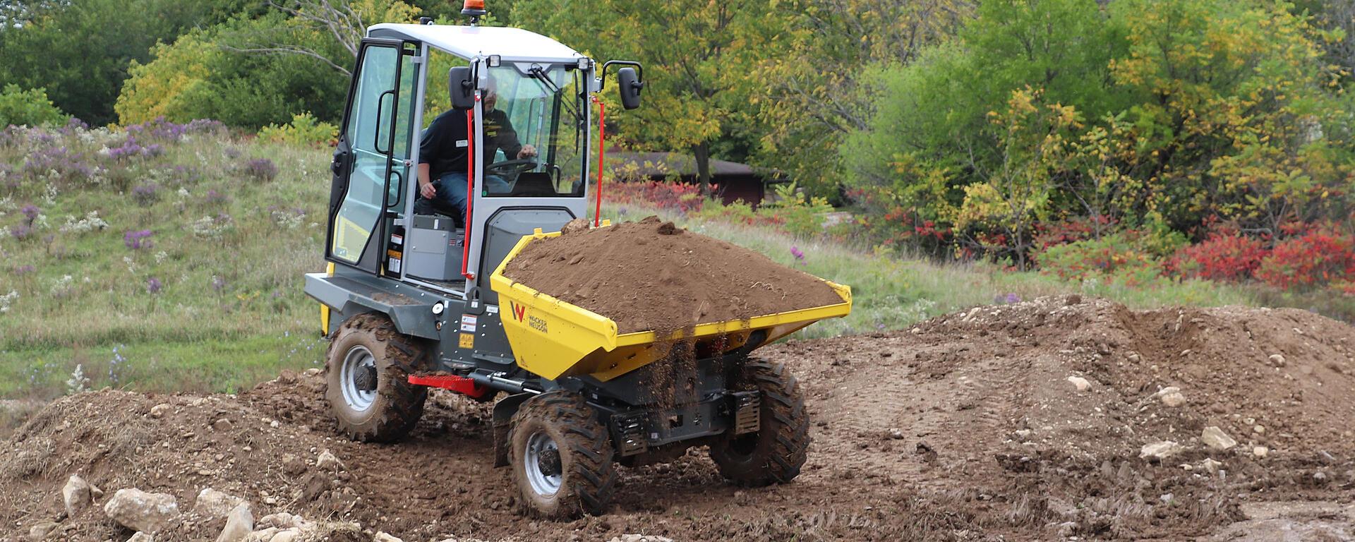 DW30 Wheel Dumper