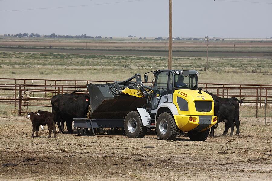 Wheel Loader 5055