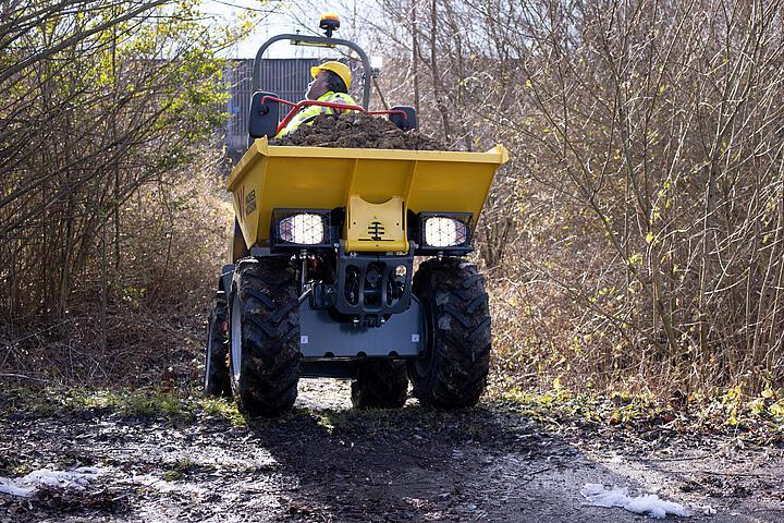 DW10 in action