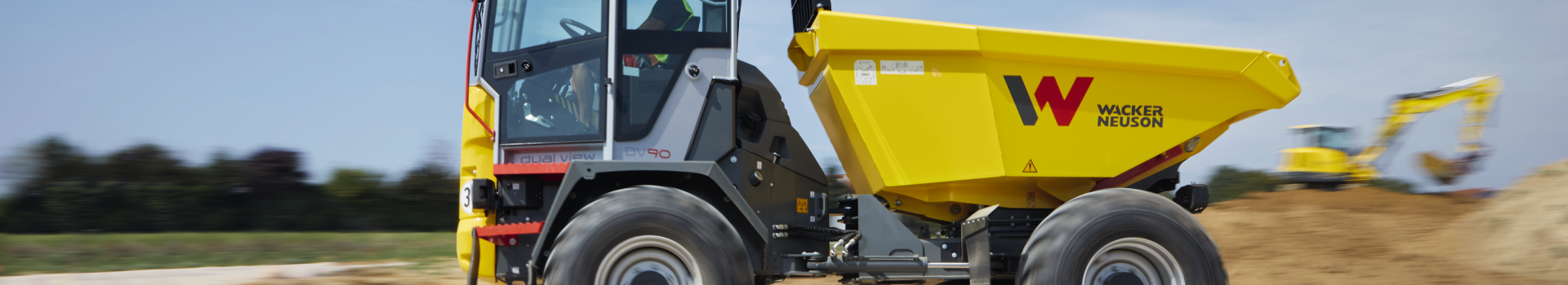 Dual View Dumper Dual View Dumper