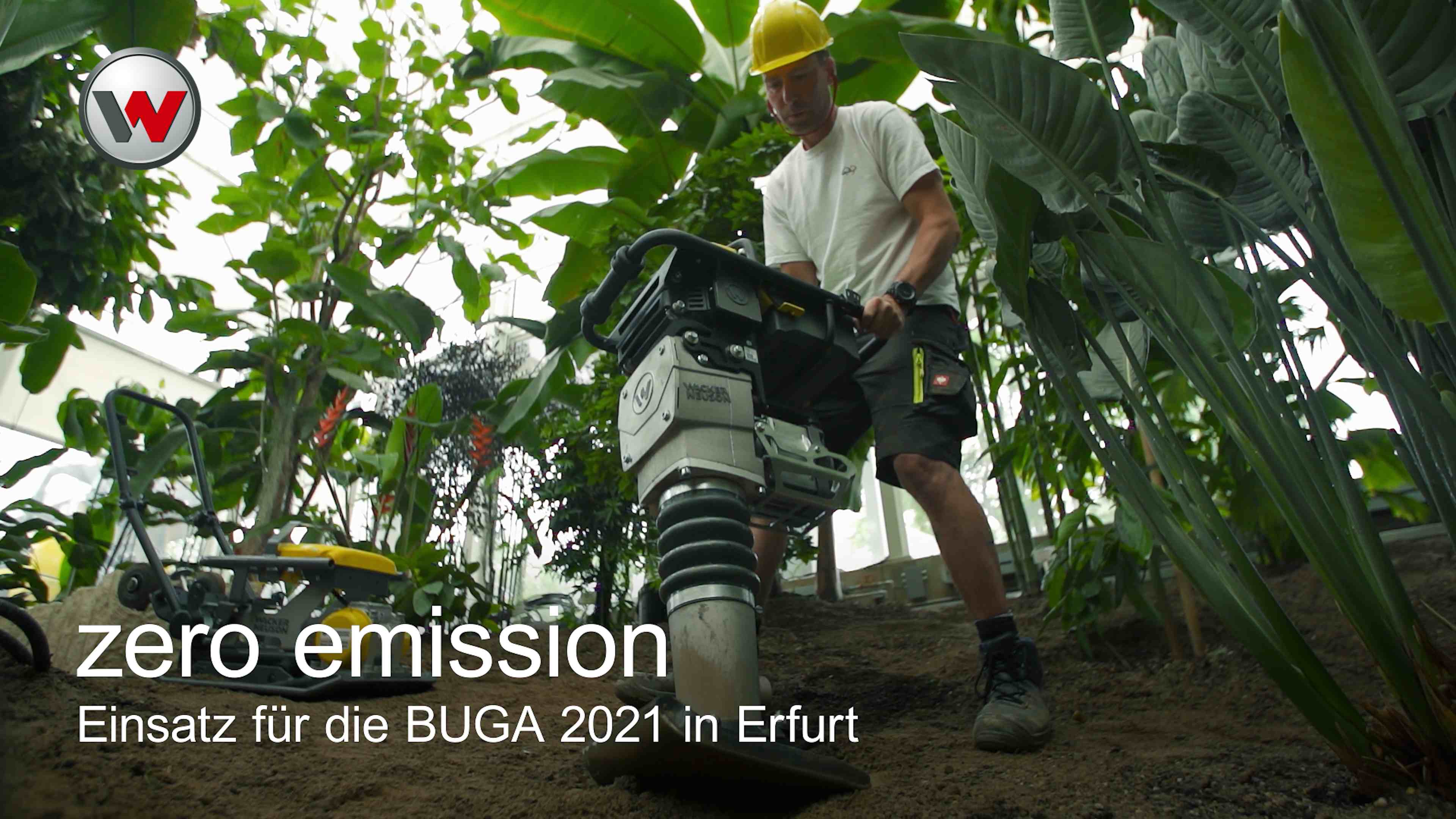 Ein Mann, der mit einem Stampfer in einem Gewächshaus arbeitet, umgeben von grünen Pflanzen